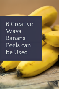 banana peel benefits - a bunch of bananas